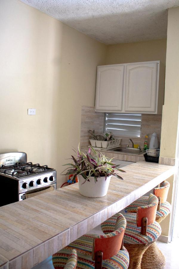 Complejo Villa Las Palmeras Piscina, Billar, Jardin, Bbq @Drvacationsrental Samana Ngoại thất bức ảnh